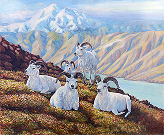 Dall Sheep oil painting