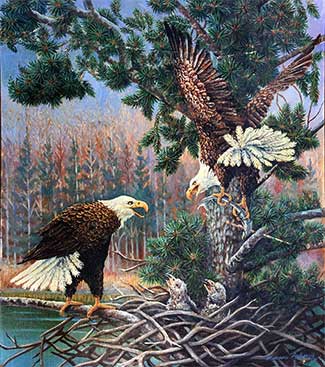 Bald Eagles oil painting